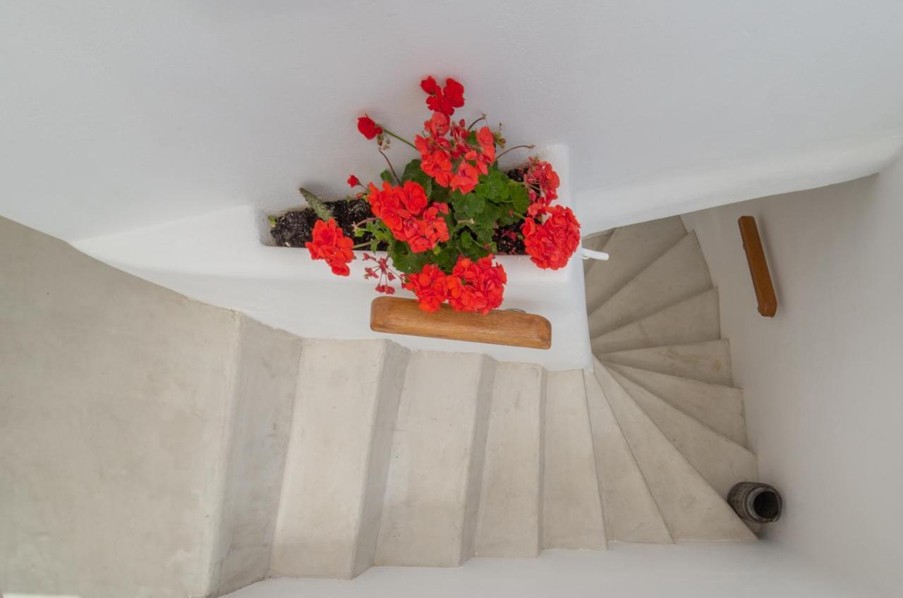 Lasia Boutique Apartment Ándros Zewnętrze zdjęcie